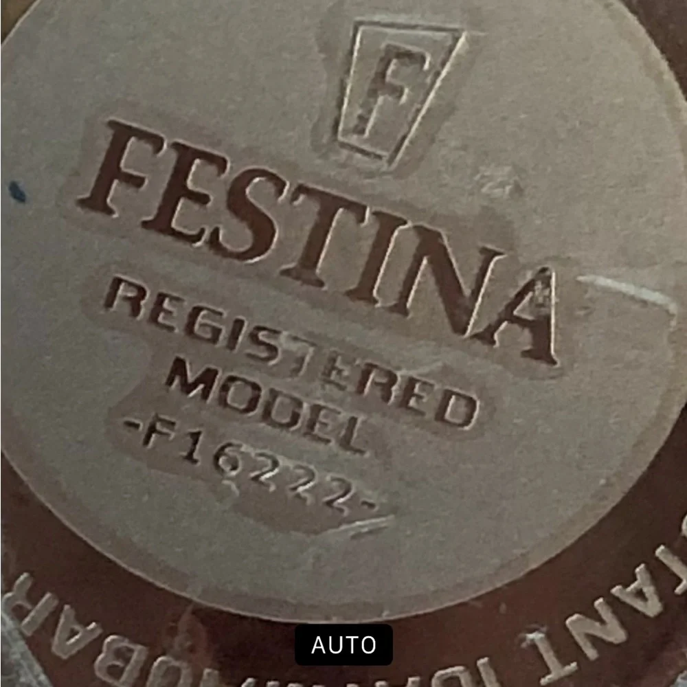 Stainless Steel Men’s Chronograph Festina Watch - Silver